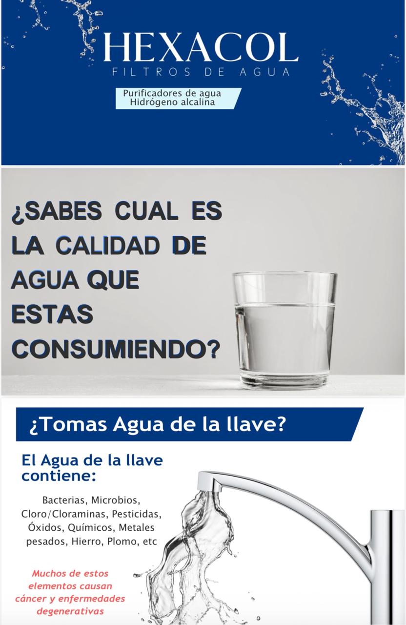 Imagen 6