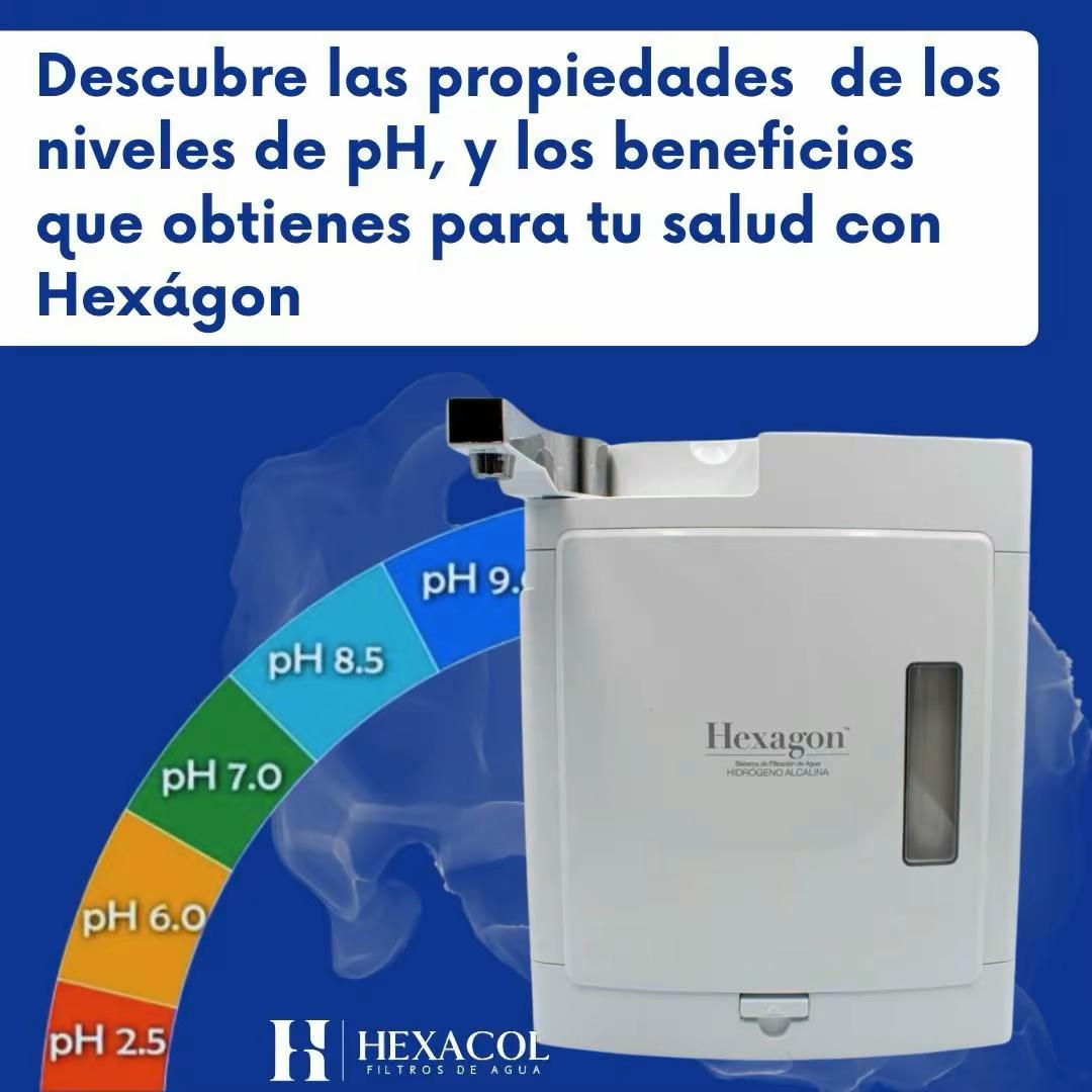 Miniatura 12