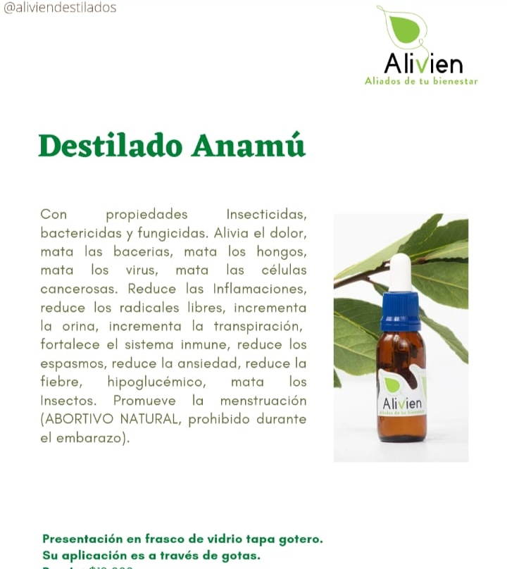 Extracto Anamú
