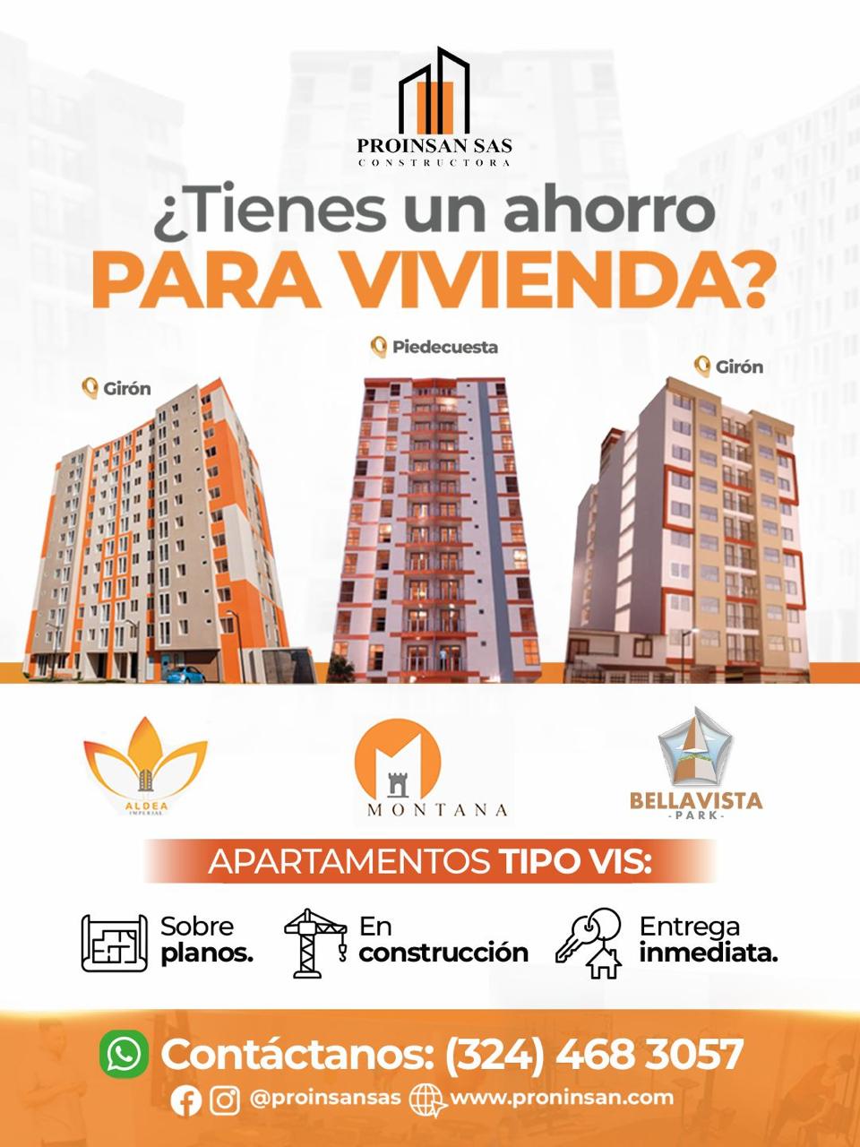 Portada de CONSTRUCTORA PROINSAN 